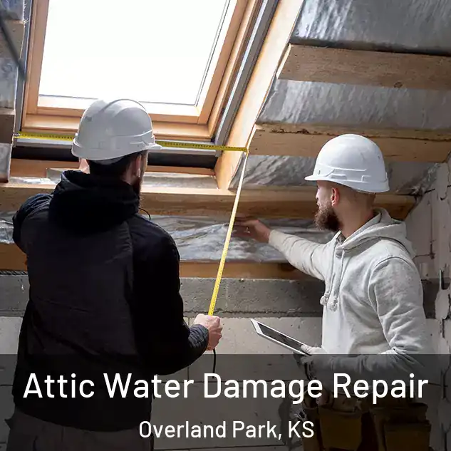  Attic Water Damage Repair Overland Park, KS
