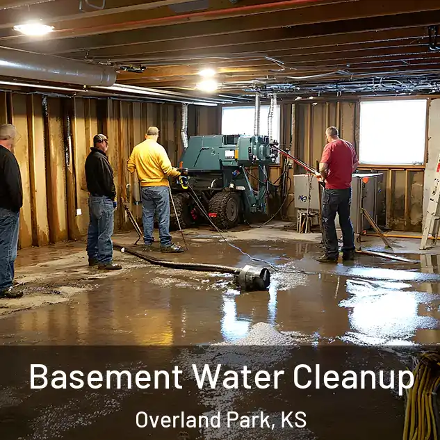  Basement Water Cleanup Overland Park, KS