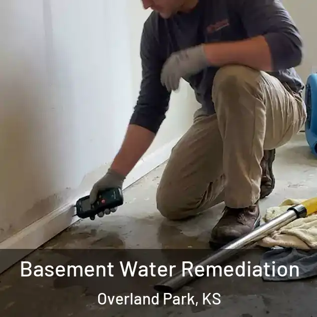  Basement Water Remediation Overland Park, KS