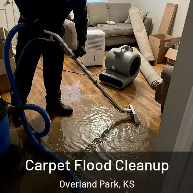  Carpet Flood Cleanup Overland Park, KS