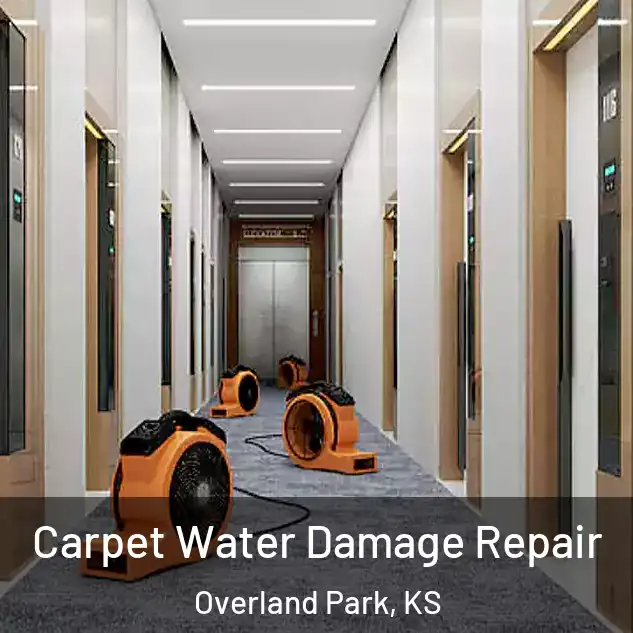  Carpet Water Damage Repair Overland Park, KS