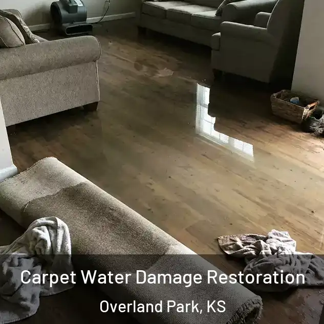  Carpet Water Damage Restoration Overland Park, KS