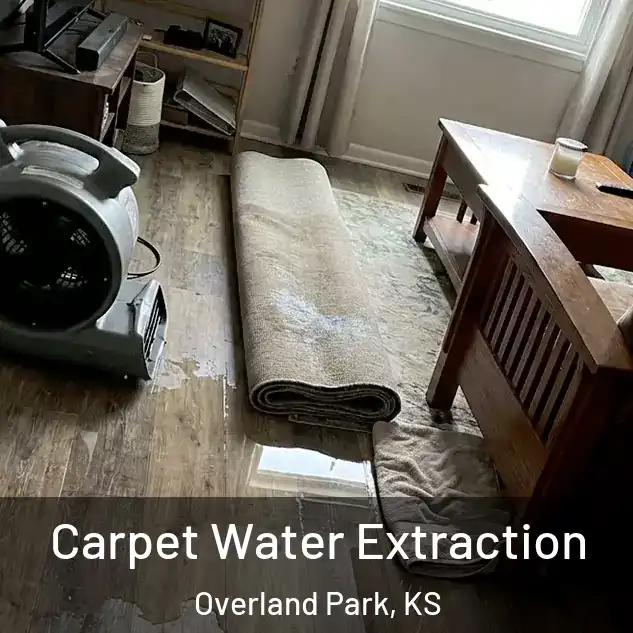  Carpet Water Extraction Overland Park, KS