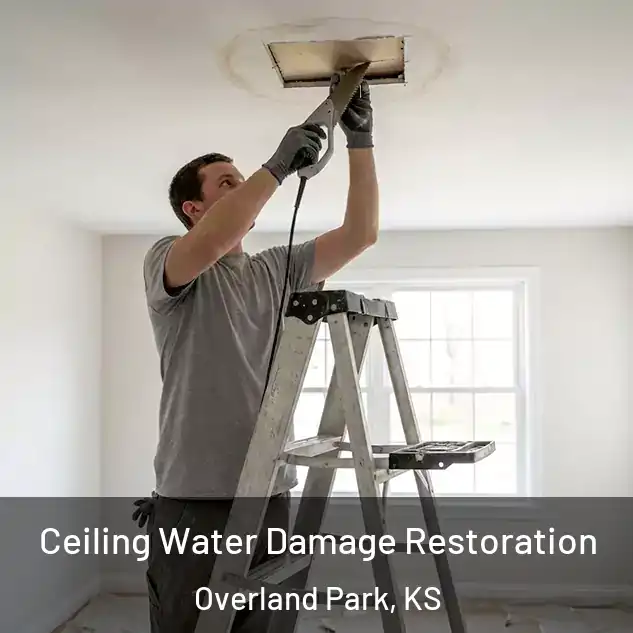  Ceiling Water Damage Restoration Overland Park, KS