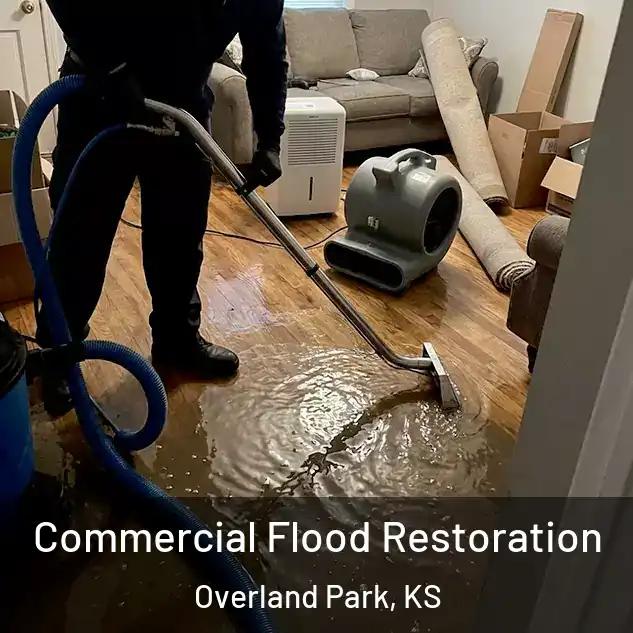  Commercial Flood Restoration Overland Park, KS