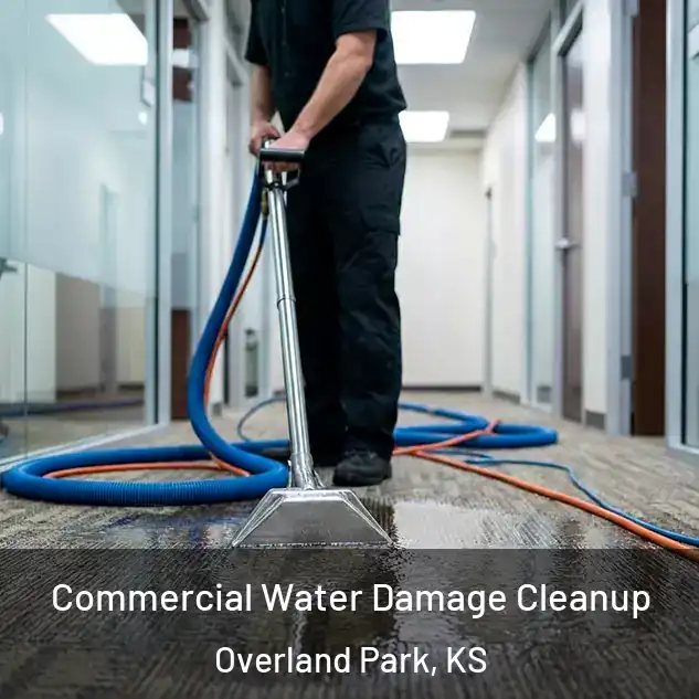  Commercial Water Damage Cleanup Overland Park, KS