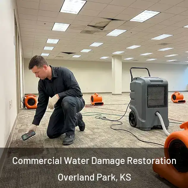  Commercial Water Damage Restoration Overland Park, KS