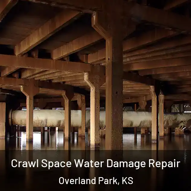  Crawl Space Water Damage Repair Overland Park, KS
