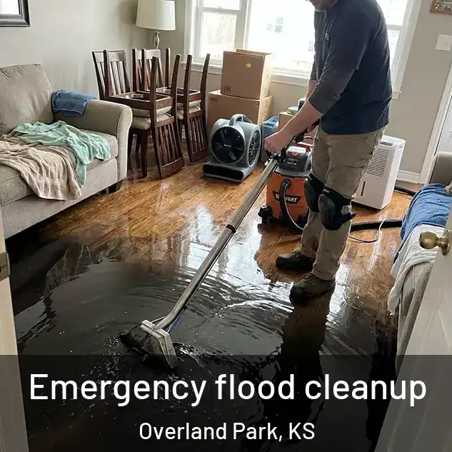  Emergency flood cleanup Overland Park, KS