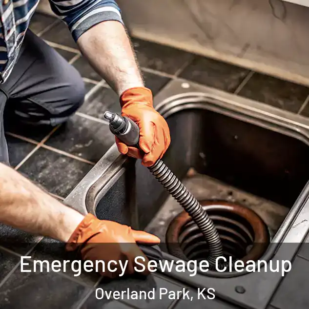  Emergency Sewage Cleanup Overland Park, KS