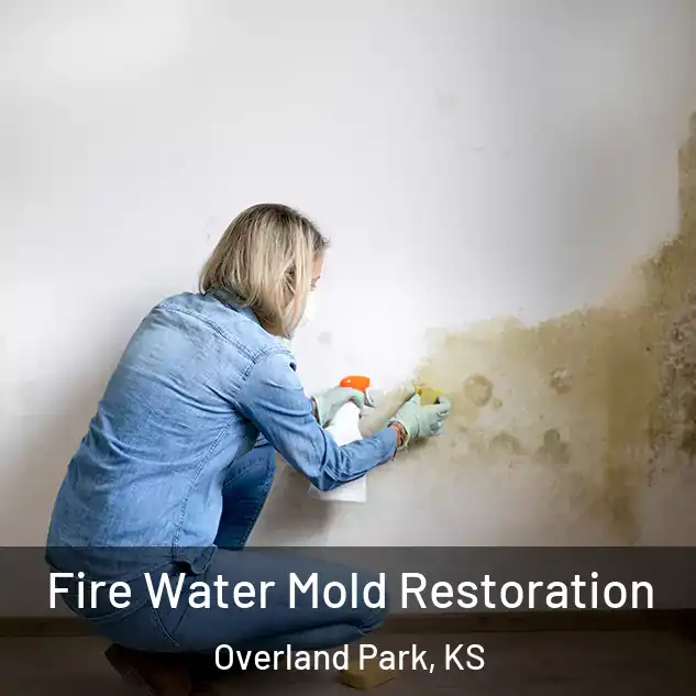  Fire Water Mold Restoration Overland Park, KS