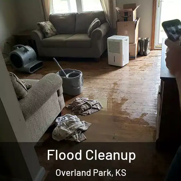  Flood Cleanup Overland Park, KS