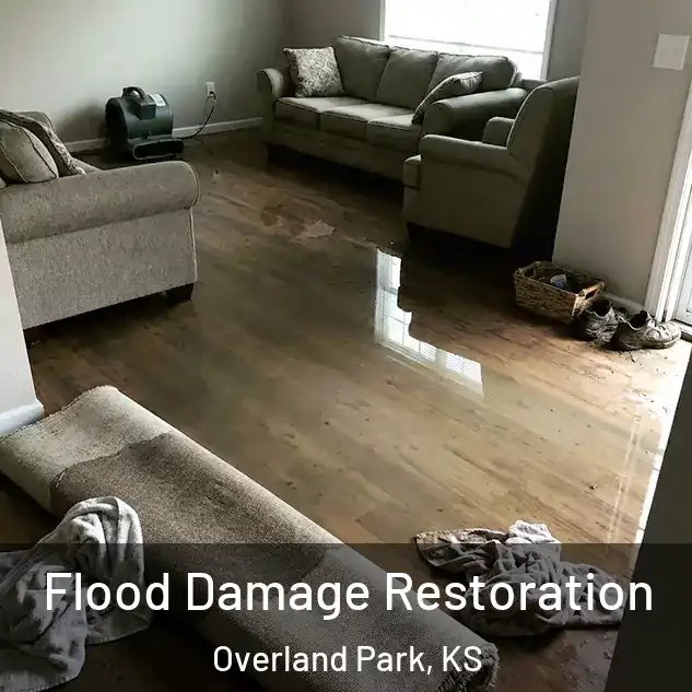  Flood Damage Restoration Overland Park, KS