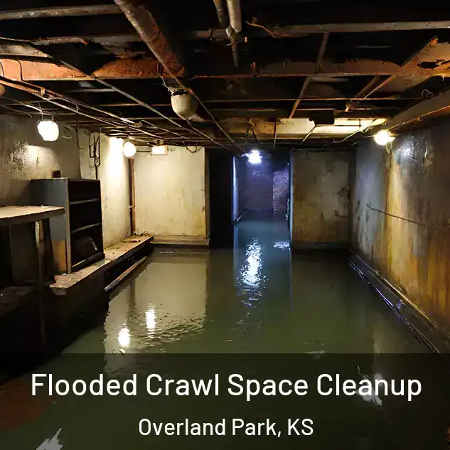 Flooded Crawl Space Cleanup Overland Park, KS