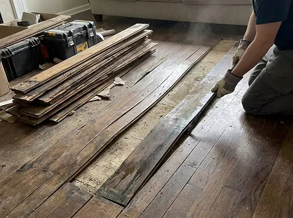 Water Damage Drying in Overland Park