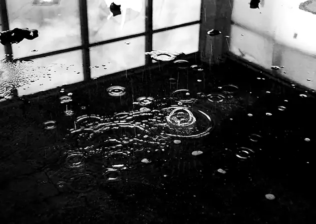 Your Contaminated Water Removal Specialists in Overland Park, KS