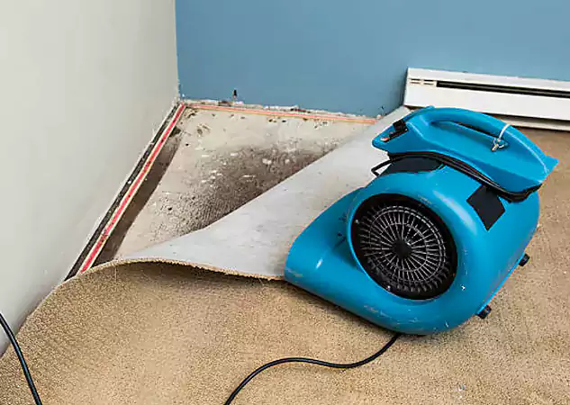 Your Water Damage Experts in Overland Park, KS