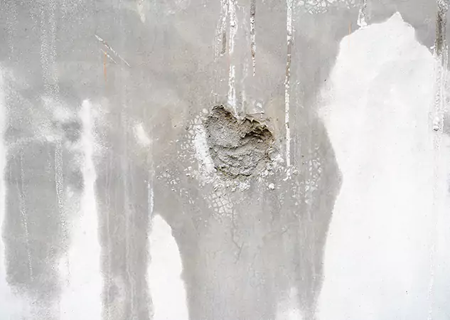 Your Mold Mitigation Solutions Partner in Overland Park, KS