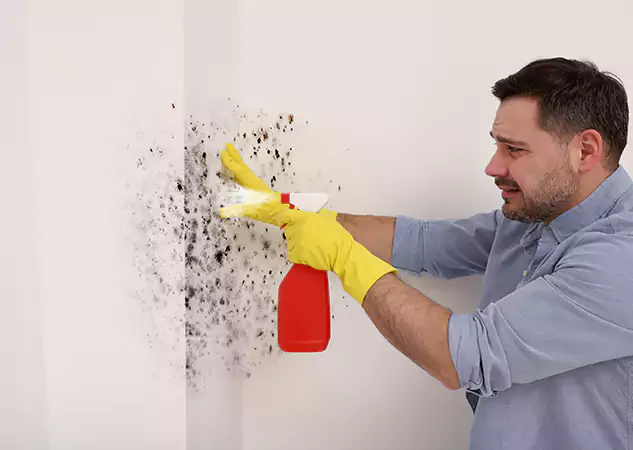 Your Water Mold Fire Restoration Partner in Overland Park, KS