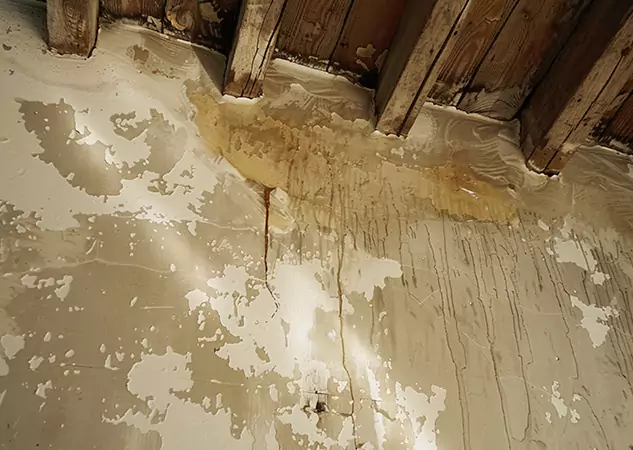Your Trusted Restoration Company in Overland Park, KS