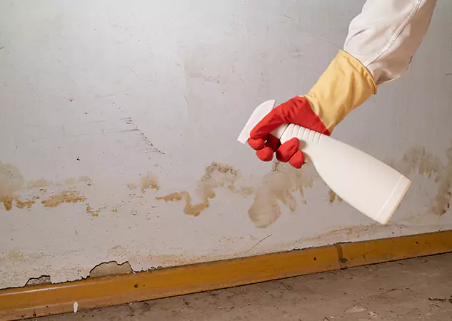 Your Water Restoration and Mold Remediation Specialists in Overland Park, KS