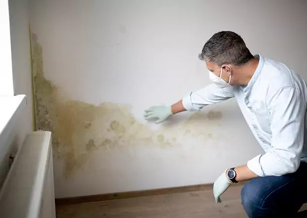 Reach Our Remediation Team Before Damage Grows in Overland Park, KS!