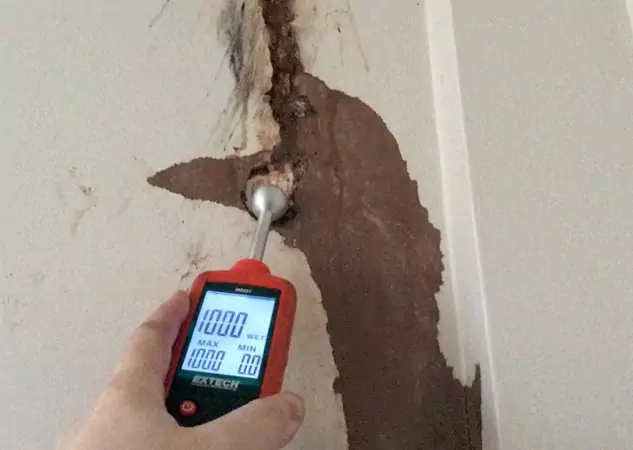 Your Water Damage Assessment Partner in Overland Park, KS