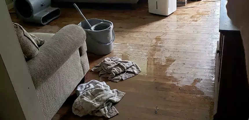 Professional Basement Water Remediation Services in Overland Park, KS