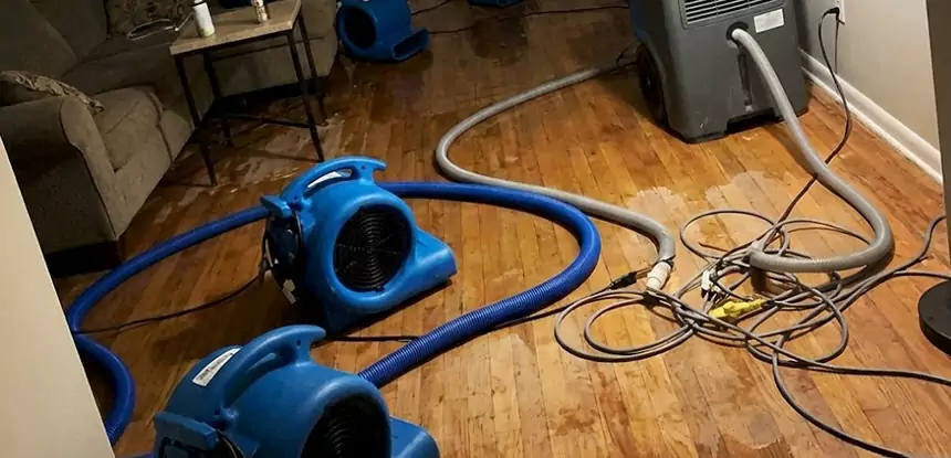 Basement Flood Restoration Services in Overland Park