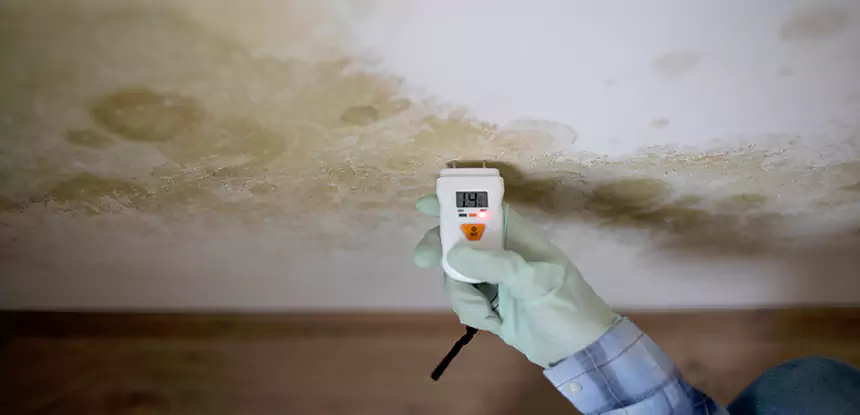 Emergency Mold Remediation in Overland Park
