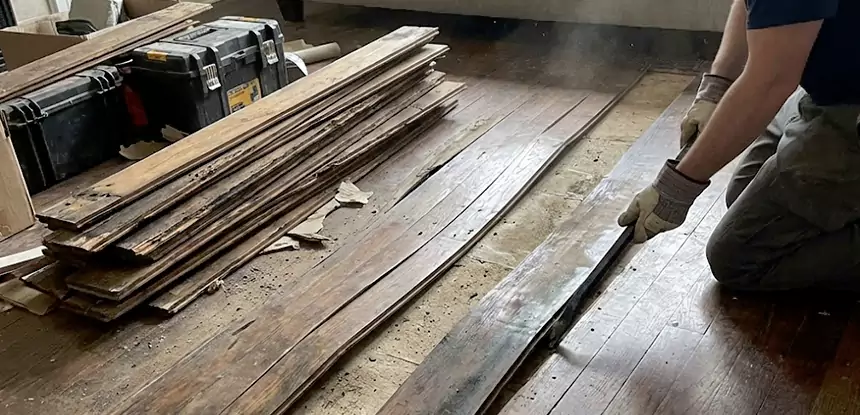 Wood Rot and Fungus Repair in Overland Park