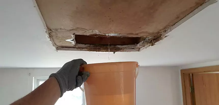 Ceiling Mold Repair Overland Park