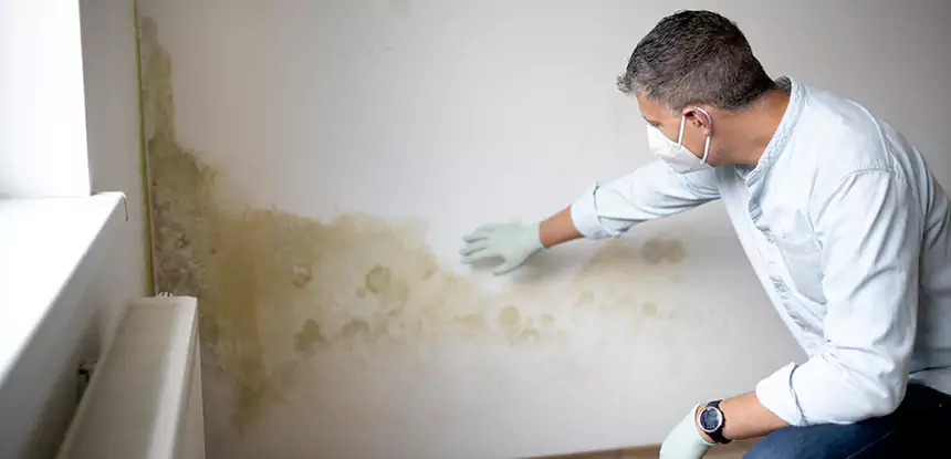 Mold and Water Damage Repair in Overland Park