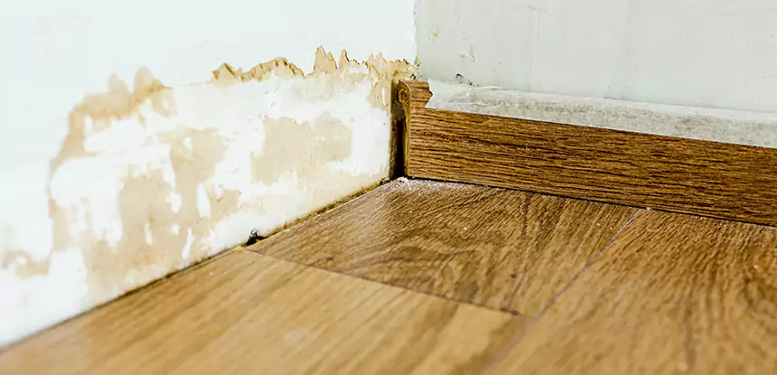Professional Fix Water Damaged Wood Services in Overland Park, KS