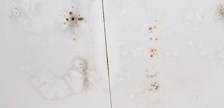 Professional Water Stain Repair Services in Overland Park, KS