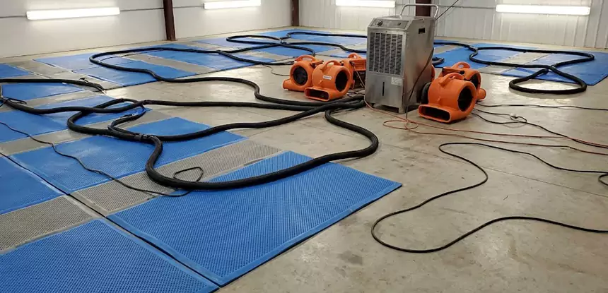Professional Flooded Carpet Drying Services in Overland Park, KS