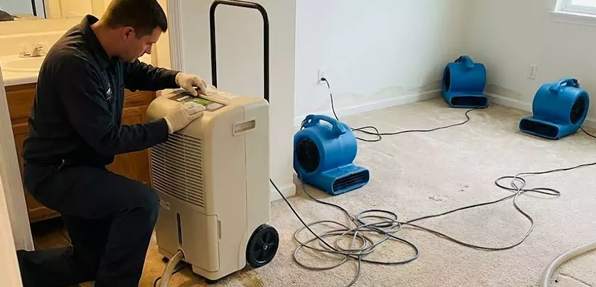 Professional Wet Carpet Removal Services in Overland Park, KS