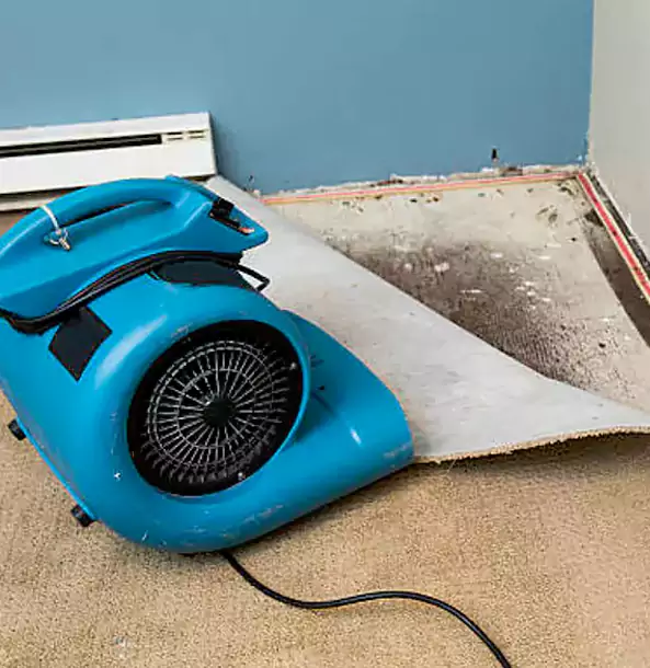 Why Overland Park Trusts Overland Park Restoration Pros for Carpet Flood Recovery?