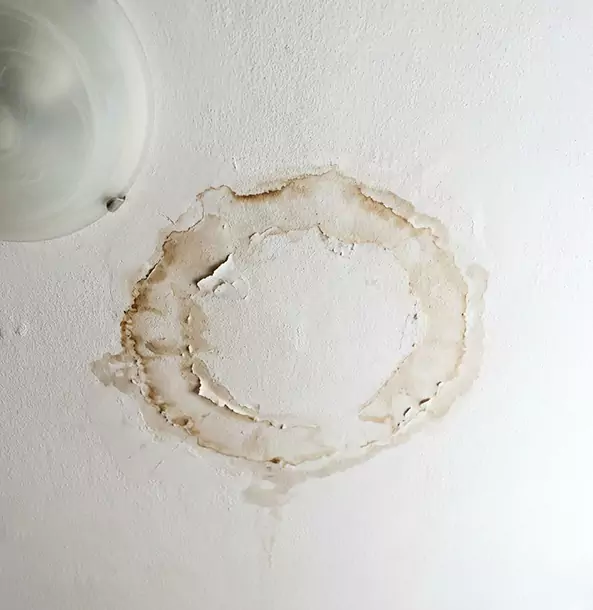 Why Overland Park Property Owners Choose Overland Park Restoration Pros for Ceiling Water Damage Restoration?