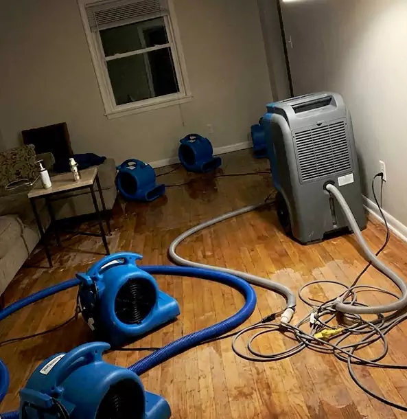 Why Overland Park Calls Overland Park Restoration Pros First for Emergency Restoration?