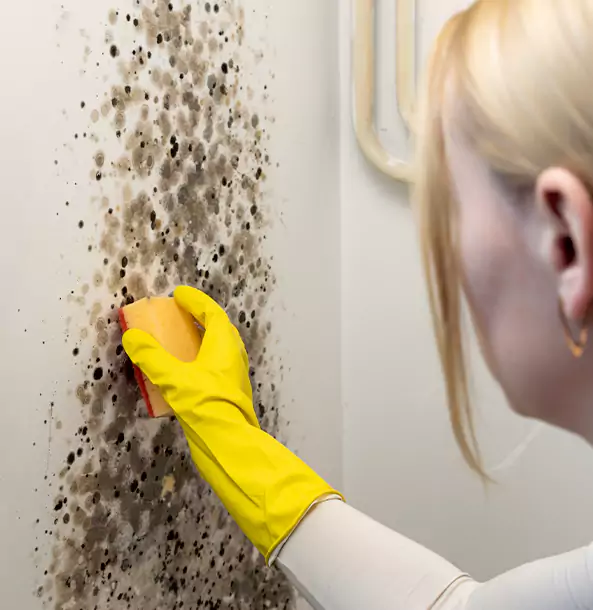 Why Overland Park Restoration Pros Leads Mold Remediation in Overland Park?