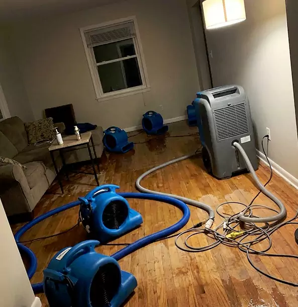 Why Overland Park Property Owners Rely on Overland Park Restoration Pros for Remediation?