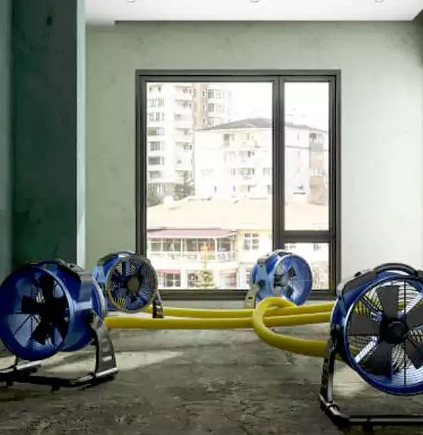 Why Overland Park Property Owners Trust Overland Park Restoration Pros for Water Damage Drying?