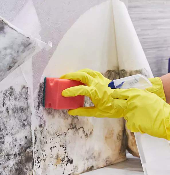 Why Overland Park Trusts Overland Park Restoration Pros for Mold and Water Restoration?