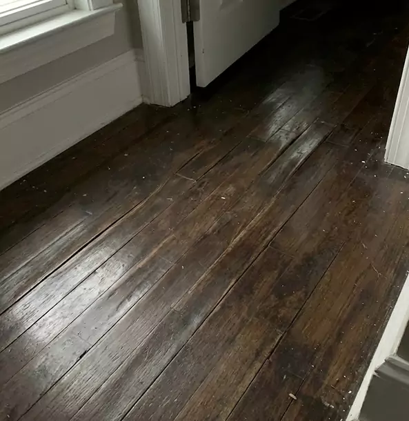 Why Overland Park Homeowners Trust Overland Park Restoration Pros to Fix Water Damaged Wood?