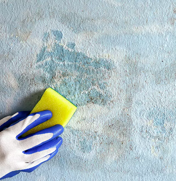 Why Overland Park Restoration Pros Is the Right Choice in Overland Park, KS?
