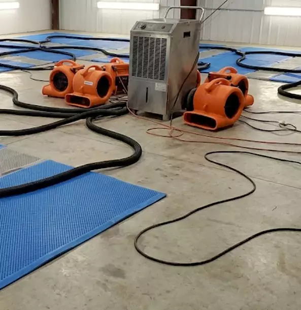 Why Overland Park Homeowners and Businesses Choose Overland Park Restoration Pros for Wet Carpet Removal?