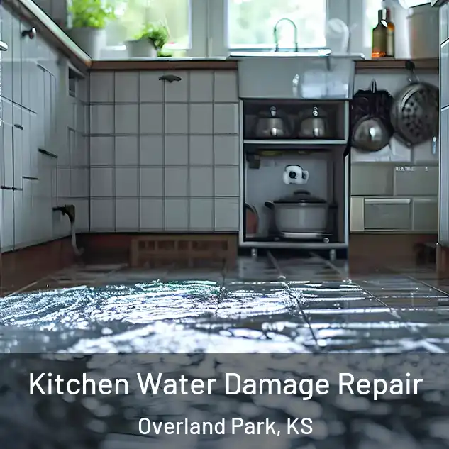  Kitchen Water Damage Repair Overland Park, KS