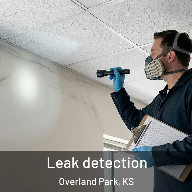  Leak detection Overland Park, KS