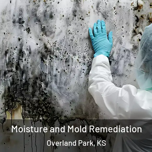  Moisture and Mold Remediation Overland Park, KS